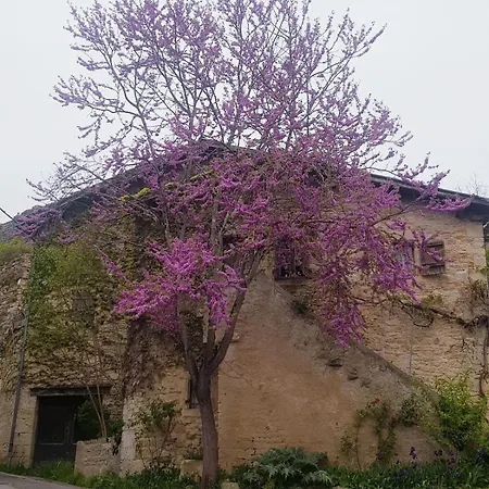 בקתה Cottage *